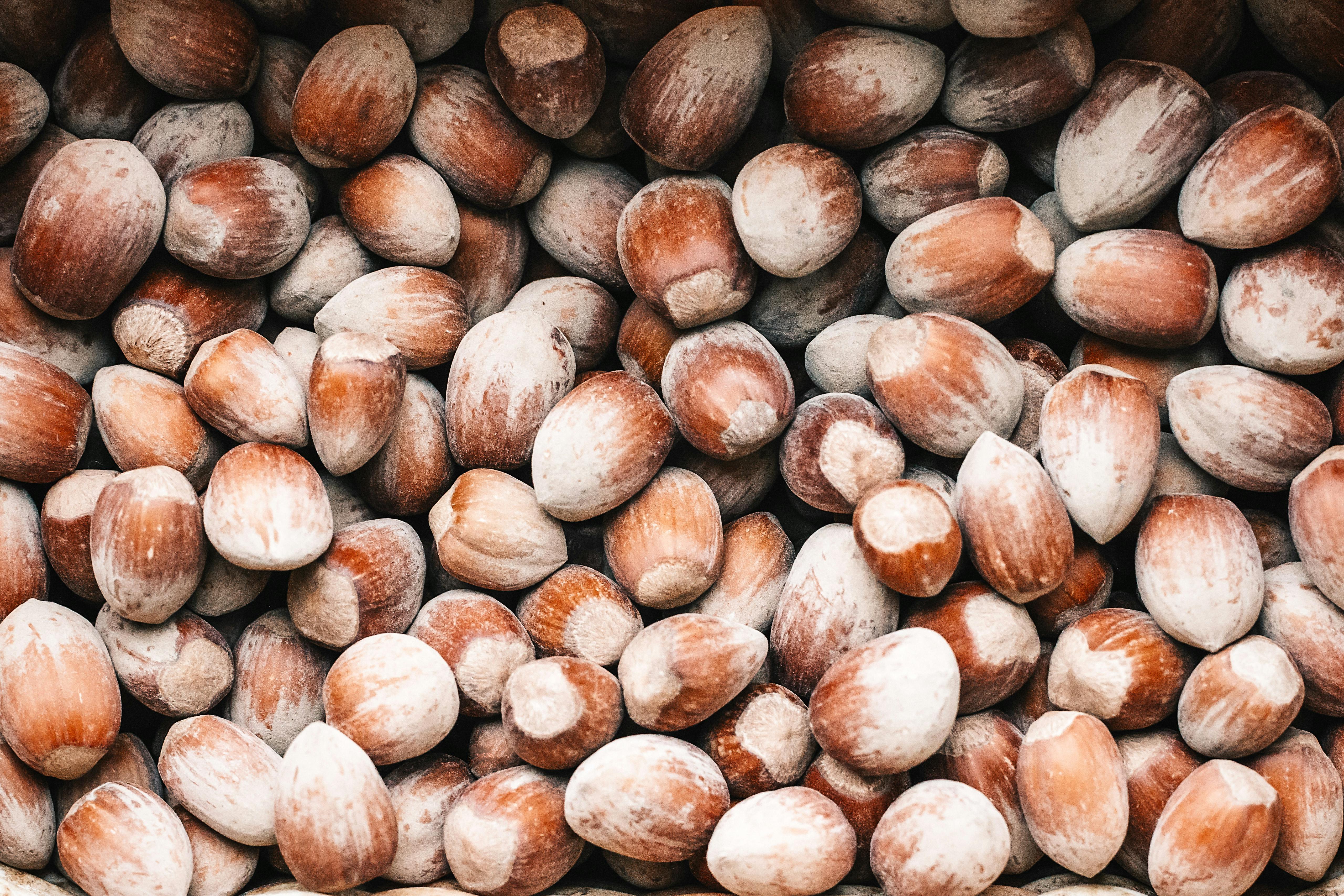 Natural In-Shell Hazelnuts
